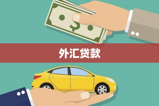 铜梁外汇贷款