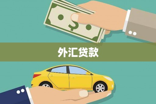 铜梁外汇贷款