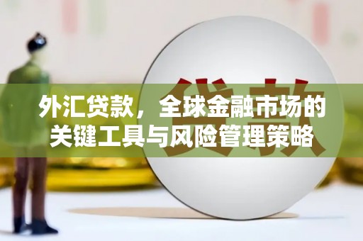 铜梁外汇贷款，全球金融市场的关键工具与风险管理策略