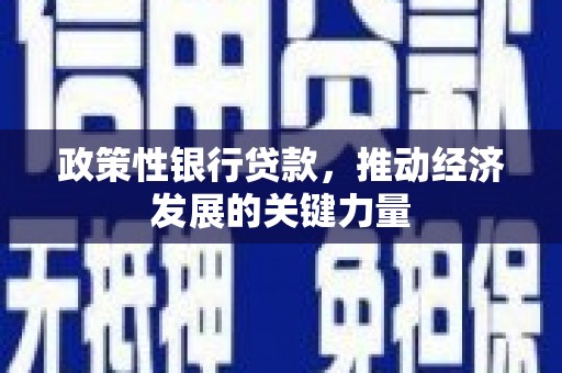 铜梁政策性银行贷款，推动经济发展的关键力量