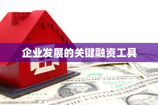 铜梁企业发展的关键融资工具