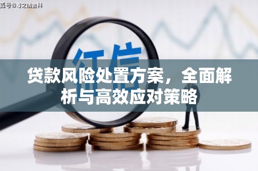 铜梁贷款风险处置方案，全面解析与高效应对策略