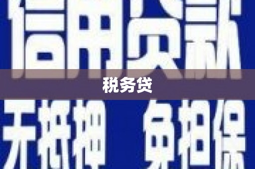 铜梁税务贷
