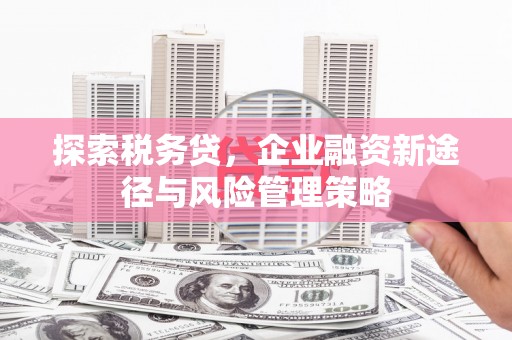 铜梁探索税务贷，企业融资新途径与风险管理策略