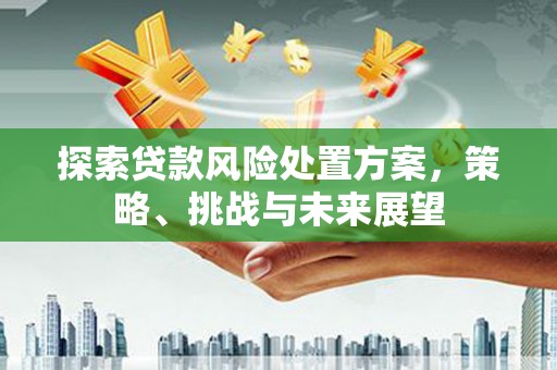 铜梁探索贷款风险处置方案，策略、挑战与未来展望