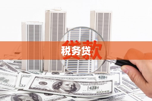 铜梁税务贷