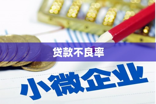 铜梁贷款不良率