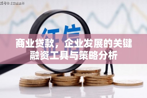 铜梁商业贷款，企业发展的关键融资工具与策略分析