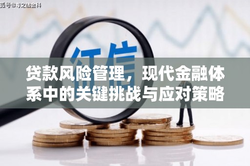 铜梁贷款风险管理，现代金融体系中的关键挑战与应对策略