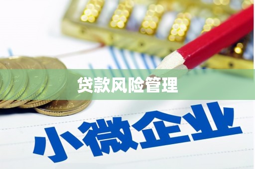 铜梁贷款风险管理