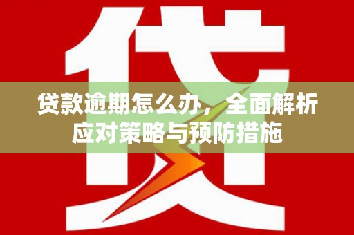 铜梁贷款逾期怎么办，全面解析应对策略与预防措施