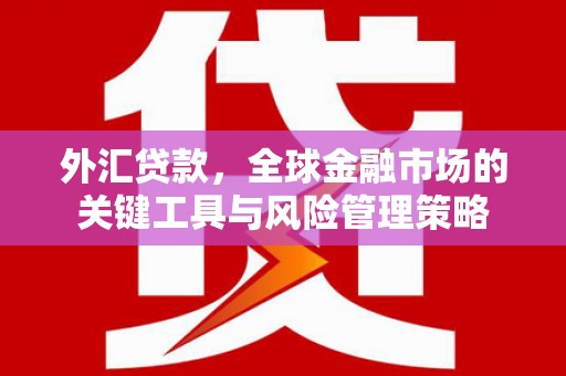 铜梁外汇贷款，全球金融市场的关键工具与风险管理策略