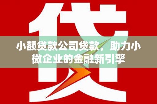 铜梁小额贷款公司贷款，助力小微企业的金融新引擎