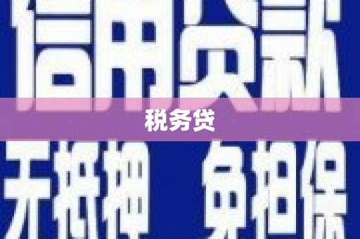 铜梁税务贷