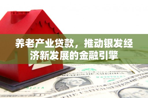 铜梁养老产业贷款，推动银发经济新发展的金融引擎