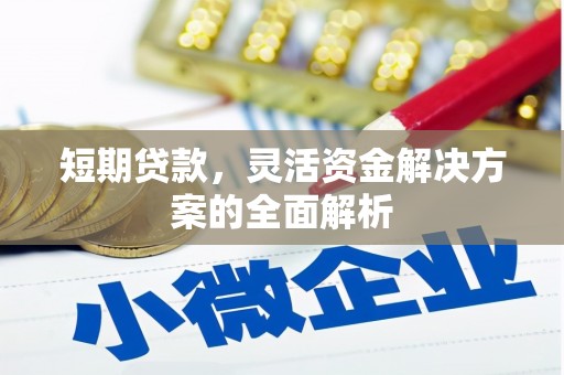 铜梁短期贷款，灵活资金解决方案的全面解析