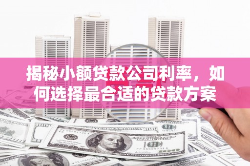 铜梁揭秘小额贷款公司利率，如何选择最合适的贷款方案