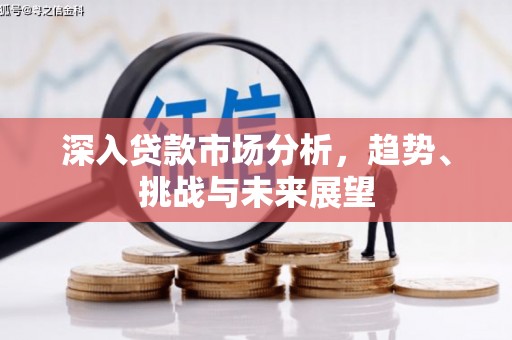 铜梁深入贷款市场分析，趋势、挑战与未来展望