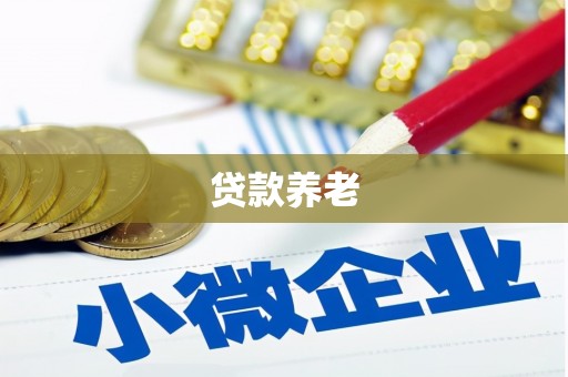 铜梁贷款养老