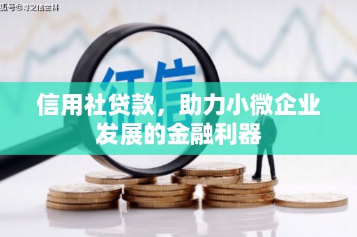 铜梁信用社贷款，助力小微企业发展的金融利器