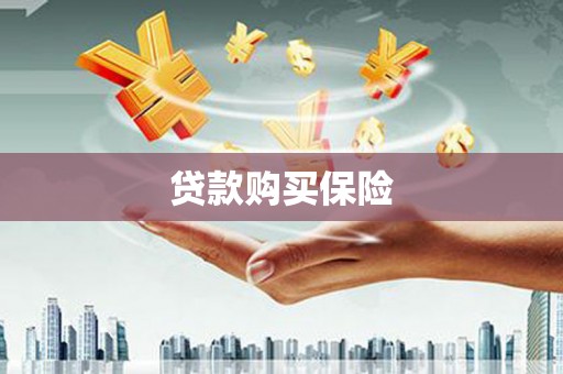 铜梁贷款购买保险