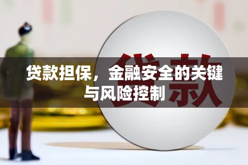 铜梁贷款担保，金融安全的关键与风险控制