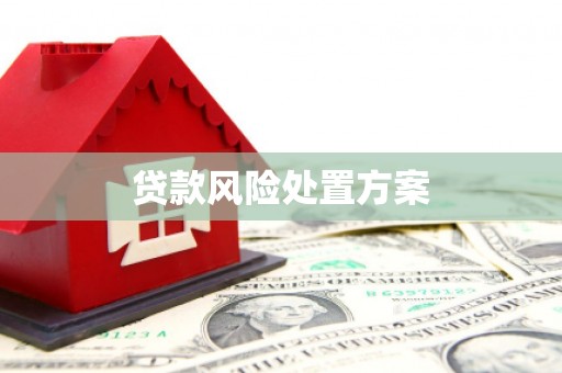 铜梁贷款风险处置方案