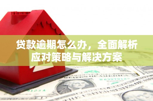 铜梁贷款逾期怎么办，全面解析应对策略与解决方案