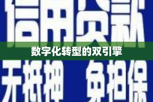 铜梁数字化转型的双引擎