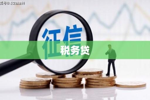 铜梁税务贷